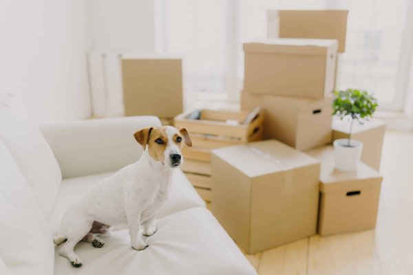 How can you design a cozy window seat in a UK bay window for reading and relaxation?