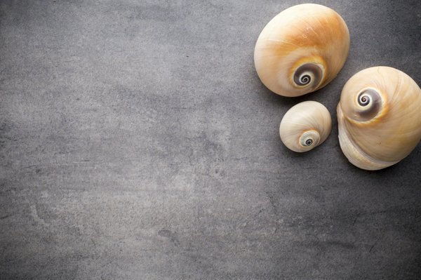 How Does Participating in Community Choral Groups Affect Senior Cognitive Health?